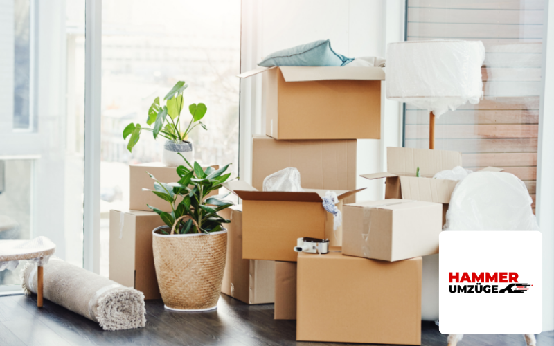 Webdesign Agentur Heidelberg Referenz Umzugsunternehmen